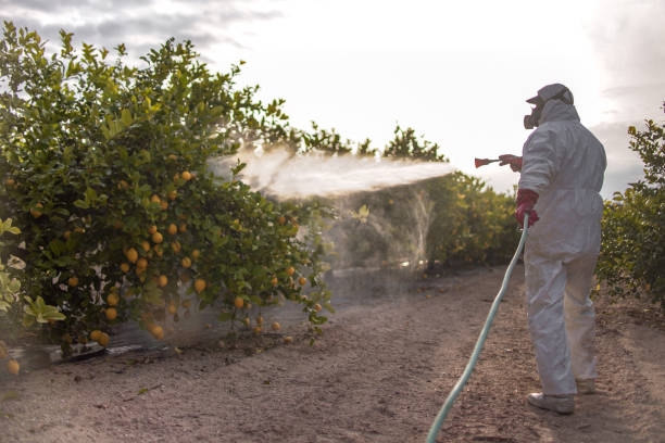 Best Pest Control for Businesses  in Crompond, NY
