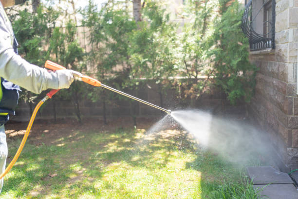 Best Wasp Removal Services  in Crompond, NY