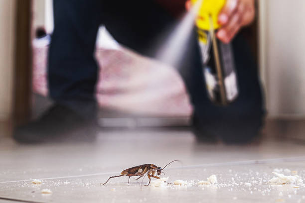 Best Residential Pest Control  in Crompond, NY