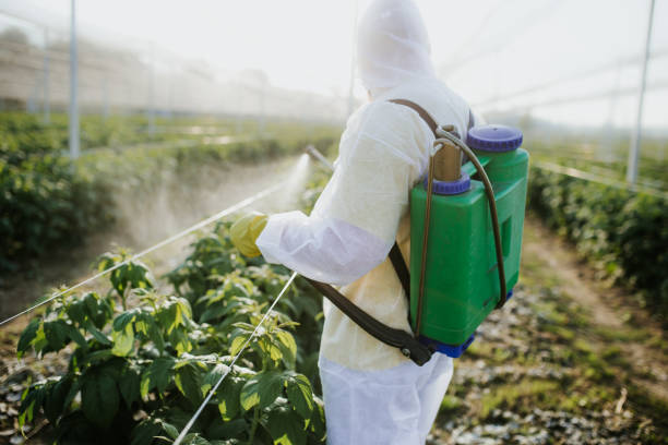 Best Bed Bug Extermination  in Crompond, NY